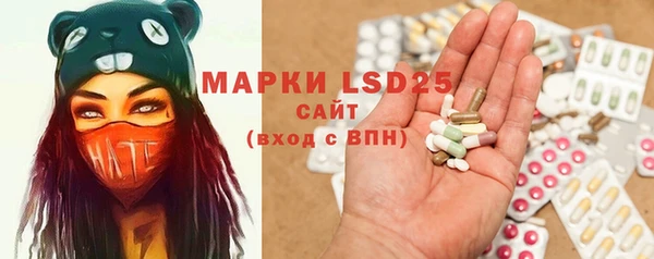 spice Алзамай