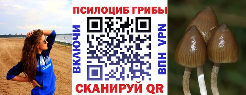 Галлюциногенные грибы Magic Shrooms Апатиты